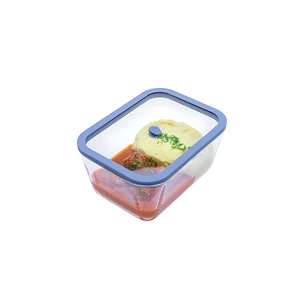 Status Viva boroszilikát üveg vákuumtároló edzett üveg tetővel ( Lila, 2,6 l )