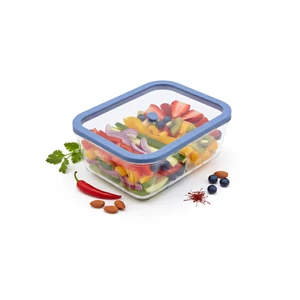 Status Viva boroszilikát üveg vákuumtároló edzett üveg tetővel ( Lila, 2,6 l )