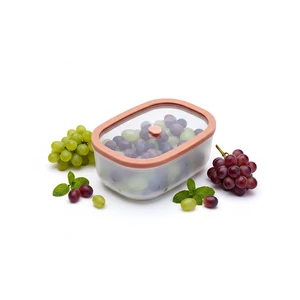 Status Fresko Polipropilén vákuumtároló edzett üveg tetővel (Lazac 0,9 L)