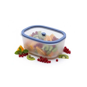 Status Fresko Polipropilén vákuumtároló edzett üveg tetővel (Lila 1,4 L)