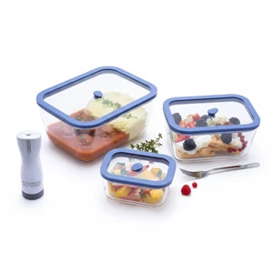 Status Viva boroszilikát üveg vákuumtároló 4 részes szett ( Lila 0,5 L + 1,4 L + 2,6 L + BVP-50 akkumulátoros vákuumpumpa)