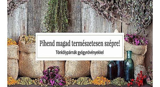 Fáradt vagy és kimerült? Párna? Egészségedre!