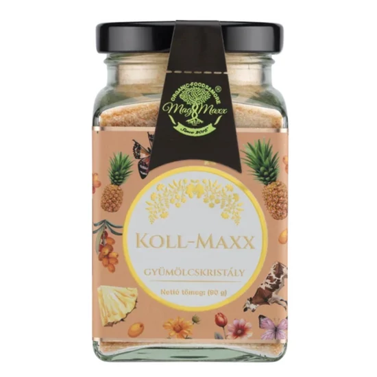 Mag Maxx - Koll-Maxx szuperkoncentrátum az erős és rugalmas ízületekért 90g