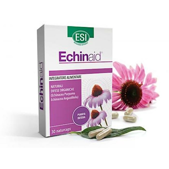 Echinaid , Echinacea  kasvirág koncentrátum (30 db)